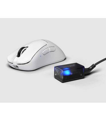 Pulsar Xlite V3 Gaming-Maus - Booste Dein Gaming auf ein neues Top-Level