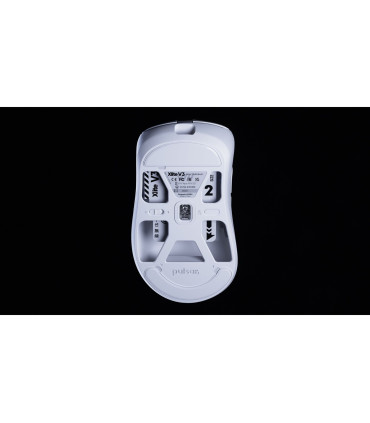 Pulsar Xlite V3 Gaming-Maus - Booste Dein Gaming auf ein neues Top-Level