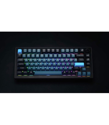 Keychron Q1 Pro: Customizable Mechanical Keyboard for Professionals and Gamers