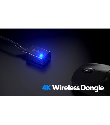 Pulsar 4000 Hz Wireless Dongle - High-Speed Wireless Performance