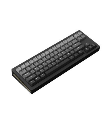 Akko MonsGeek M1W SP - Hochwertige kabellose mechanische Tastatur