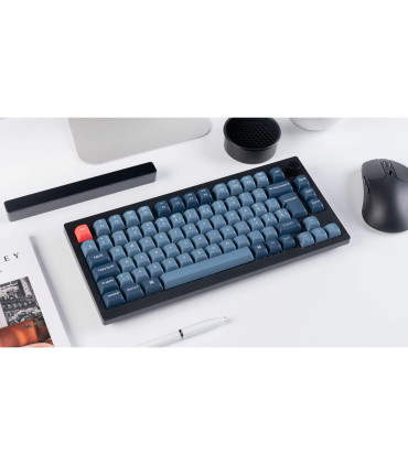 Keychron V1 Max: Mechanical keyboard for ultimate performance