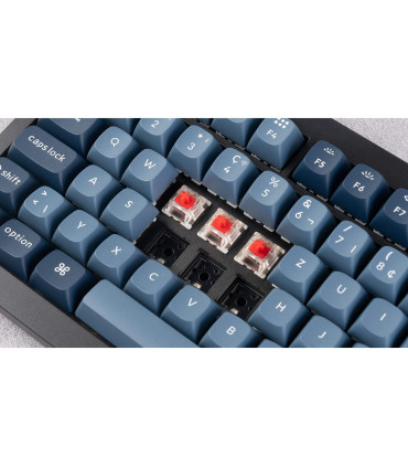 Keychron V1 Max : Clavier mécanique pour des performances ultimes