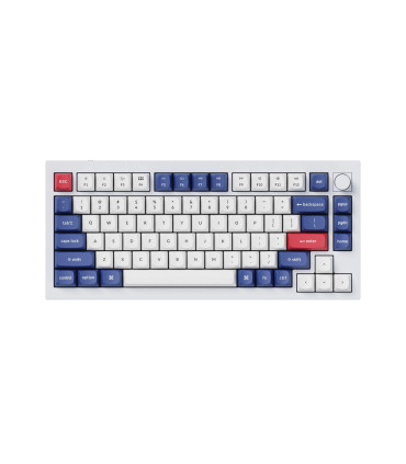 Capuchons de touches PBT en disposition suisse ISO-CH avec 141 touches en profil Cherry