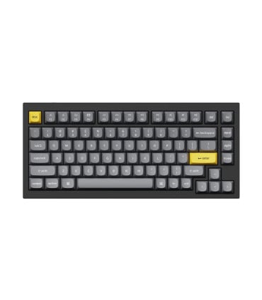Capuchons de touches PBT en disposition suisse ISO-CH avec 141 touches en profil Cherry