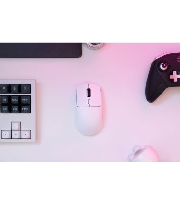 Souris de jeu Lemokey G2 – Ultralégère, taux d’interrogation de 8000 Hz, sans fil et pour les jeux professionnels