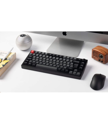 Lemokey P1 Pro : Clavier de jeu haut de gamme à 75 % avec boîtier RVB et aluminium