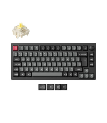 Lemokey P1 Pro : Clavier de jeu haut de gamme à 75 % avec boîtier RVB et aluminium