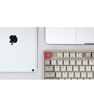 Keychron K8 Interrupteur rouge non rétroéclairé remplaçable à chaud (ANSI)