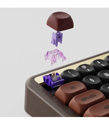 Akko MU01 Mechanische Holztastatur – Eleganz trifft Technologie