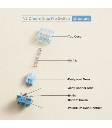 Akko V3 Cream Blue Pro: Taktiler Schalter mit unschlagbarem Preis