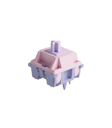 Akko Fairy Silent Switches – des interrupteurs silencieux, précis et durables