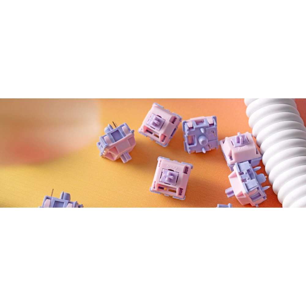 Akko Fairy Silent Switches – des interrupteurs silencieux, précis et durables