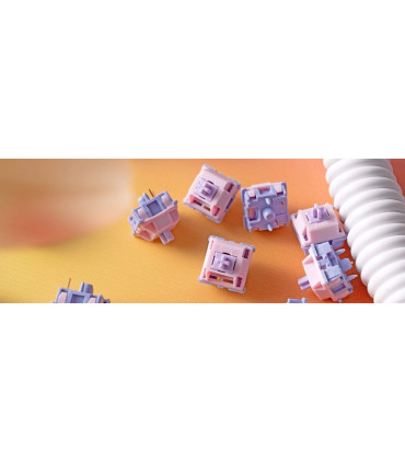 Akko Fairy Silent Switches – des interrupteurs silencieux, précis et durables
