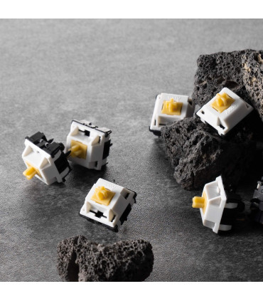 Akko Penguin Switches – Leise, taktil und langlebig für perfekten Tippkomfort