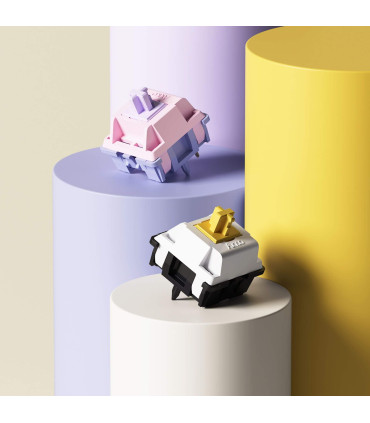 Akko Penguin Switches – Leise, taktil und langlebig für perfekten Tippkomfort