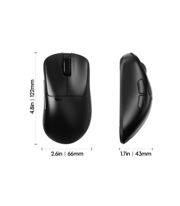Souris de jeu Xlite v4 – Précision, légèreté et confort pour les joueurs