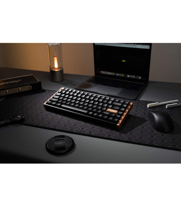 Keychron K2 HE – Magnetische Holz Tastatur für Gaming & Produktivität
