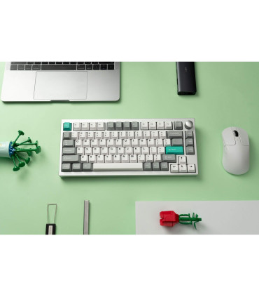 Lemokey P1 Pro : Clavier de jeu haut de gamme à 75 % avec boîtier RVB et aluminium