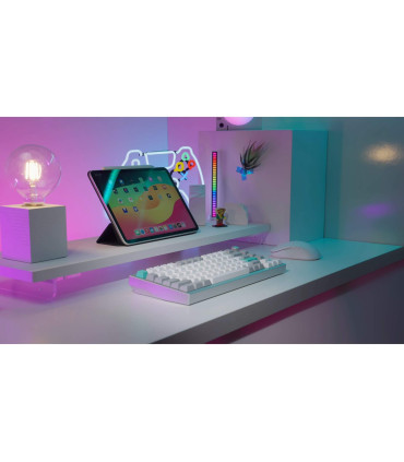 Lemokey P1 Pro: Premium 75%-Gaming-Tastatur mit RGB & Aluminiumgehäuse