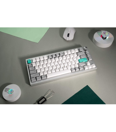 Lemokey P1 Pro : Clavier de jeu haut de gamme à 75 % avec boîtier RVB et aluminium