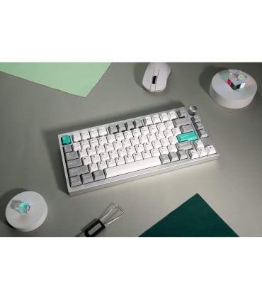 Lemokey P1 Pro: Premium 75%-Gaming-Tastatur mit RGB & Aluminiumgehäuse