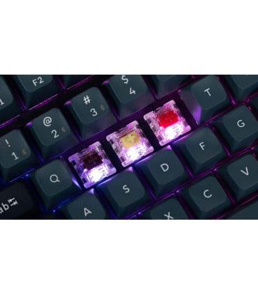 Keychron Super Switch – Précis, durable et parfait pour les jeux