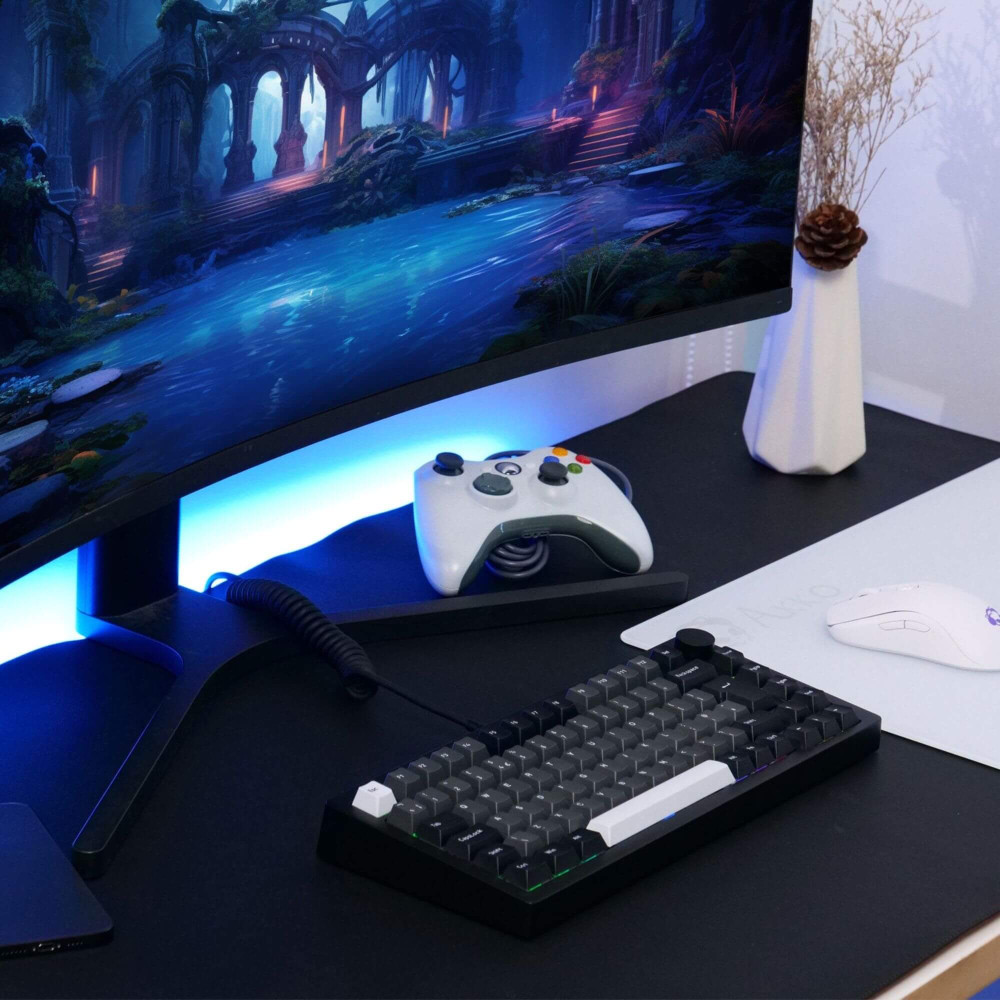 Akko MonsGeek M1 V5 VIA Noir & Argent ISO – Clavier de jeu haut de gamme
