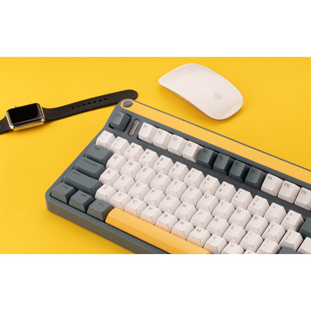IQUNIX A80 Explorer Hot-Swap RGB Cherry MX Bleu