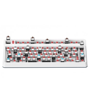 IQUNIX L80 Formula Hot-Swap RGB Cherry MX Bleu