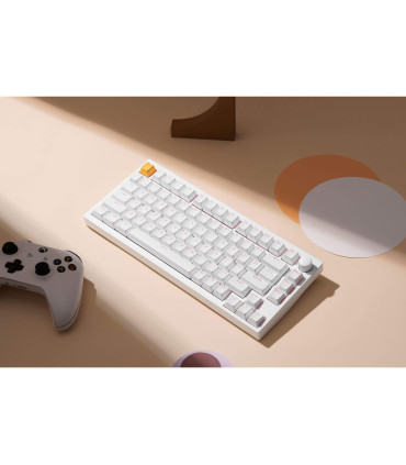 Keychron Lemokey P1 HE – Clavier de jeu à 81 touches avec commutateurs à effet Hall