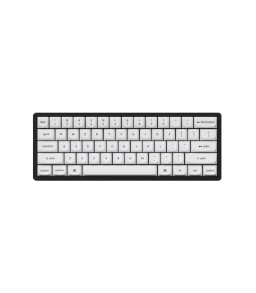 Capuchons de touches PBT en disposition suisse ISO-CH avec 141 touches en profil Cherry