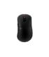 Pulsar ZYWOO La souris Chosen Noir - Mini Size1