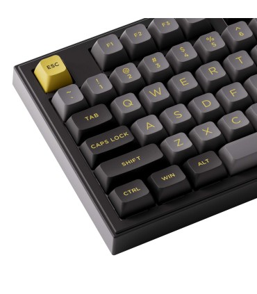 AKKO 5098B Black & Gold – Clavier ANSI avec écran TFT et support de joint d’étanchéité