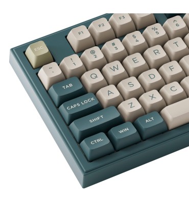 AKKO 5098B Black & Gold – Clavier ANSI avec écran TFT et support de joint d’étanchéité