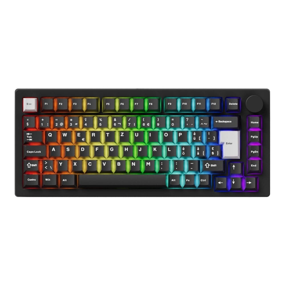 Akko MonsGeek M1 V5 WOB (ISO-CH) Akko Penguin Silent