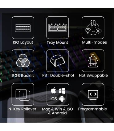 Akko 5108B Plus Black & Gold ISO-DE – Triple-Mode Gaming-Tastatur