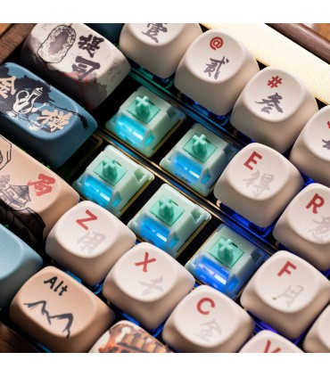 Akko Botany Switch – Linéaire 38gf, 45pcs pour claviers personnalisés