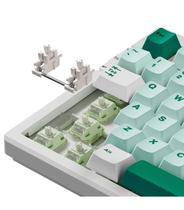 MCHOSE G75 Tri-Mode – Clavier 75 % avec commutateurs Matcha Latte V2
