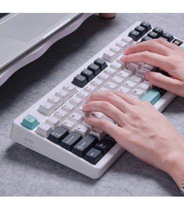 MCHOSE G87 ANSI Wireless Keyboard – Gasket Mount & Cabbage Tofu V2 Switches