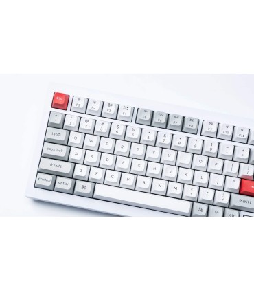 Keychron Ensemble de keycaps PBT de Sarabie Saudite gris clair & blanc – 137 ANSI