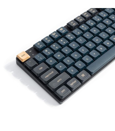Keychron LSA V2 « Knight » – PBT à double tir à profil bas (133 touches)
