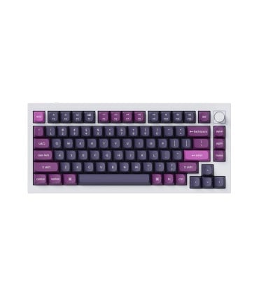 Keychron Double Shot PBT OSA Full Set Keycap Set Purple 141 Keys