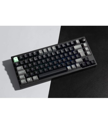 Lemokey P1 HE ISO-CH – Clavier de jeu magnétique 1000 Hz