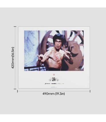 Pulsar Superglide 3 XL Tapissette de souris en verre Bruce Lee Photo