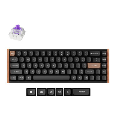 Keychron K6 HE Black Special Edition clavier magnétique de jeu