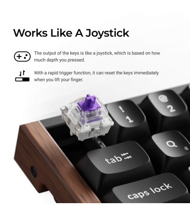 Keychron K6 HE Black Special Edition Magnetic Gaming Keyboard