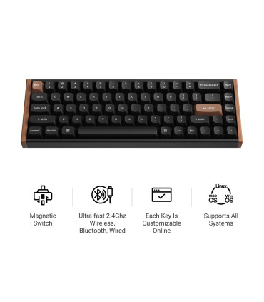 Keychron K6 HE Black Special Edition clavier magnétique de jeu