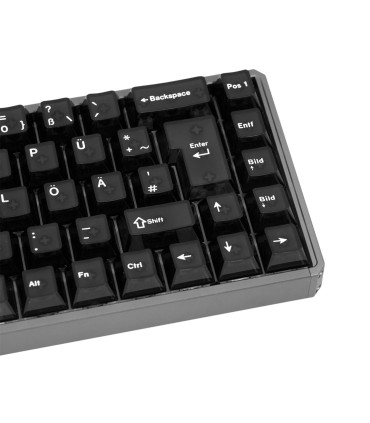AKKO MOD68-HE ISO-DE Sans fil transparent noir 8000Hz