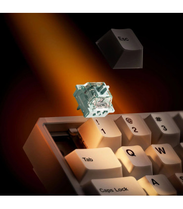 AKKO MOD68-HE Wireless ANSI Gaming Keyboard with 8000 Hz
